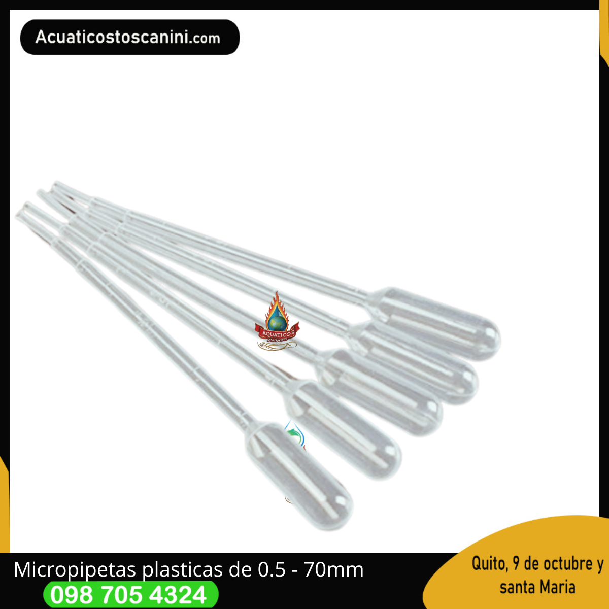 Pipeta plastica de 0.5 ml -70mm