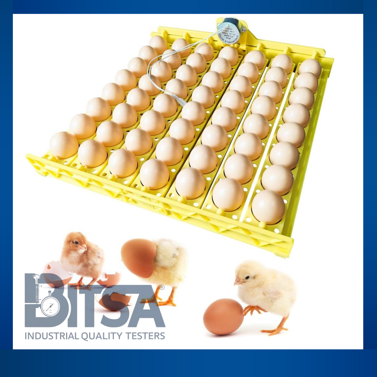 Bandeja Universal a 110V Para 63 Huevos Incubadoras